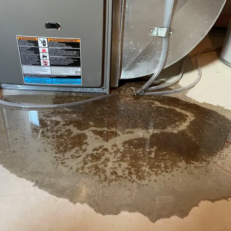 Appliance Leak Cleanup in Saint Johnsville, NY